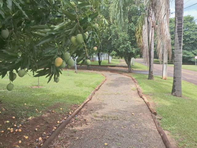 Área para Venda em Cesário Lange - 4