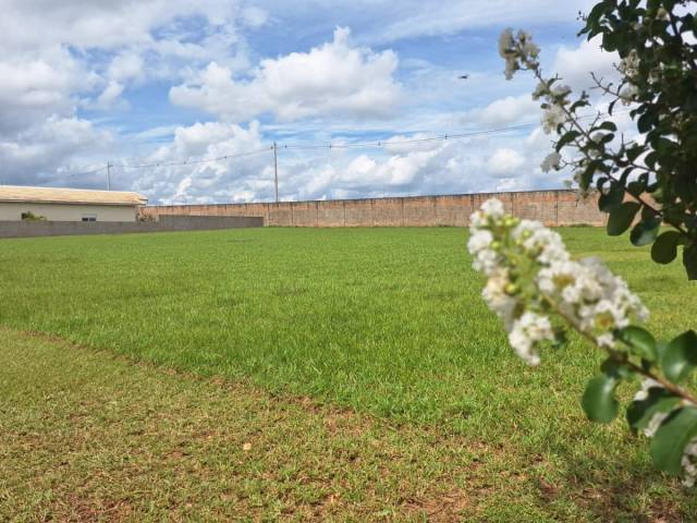 #14 - Área para Venda em Cesário Lange - SP - 1