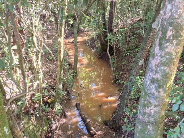#15 - Área para Venda em Tatuí - SP - 3