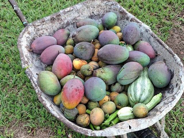 Chácara para Venda em Porangaba - 5