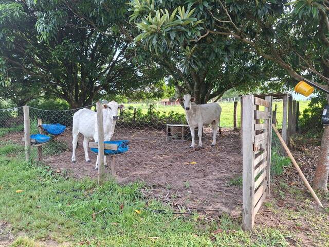 Chácara para Venda em Porangaba - 4