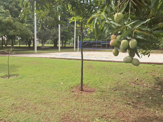 #28 - Área para Venda em Cesário Lange - SP - 3