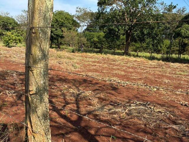 Chácara para Venda em Cesário Lange - 2