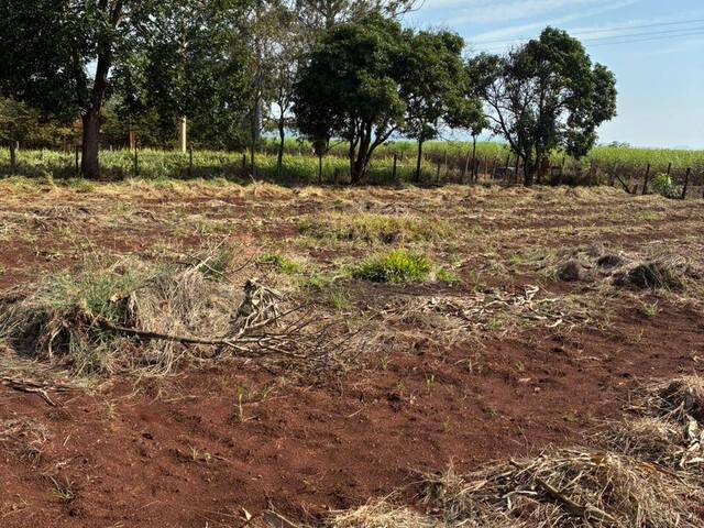 Chácara para Venda em Cesário Lange - 3