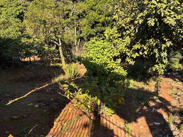 Área para Venda em Cesário Lange - 4