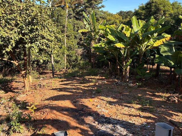 Área para Venda em Cesário Lange - 3