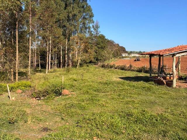 Casa para Venda em Cesário Lange - 2