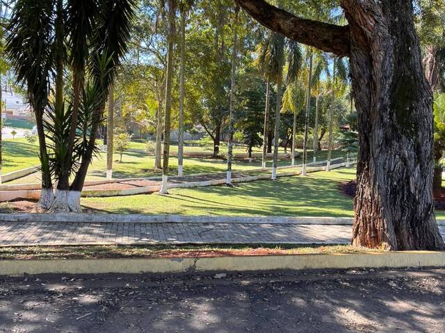 Área para Venda em Cesário Lange - 4