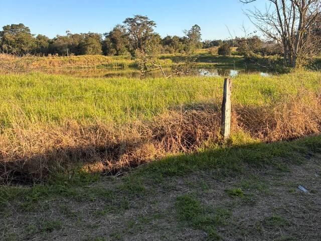 para em - 2
