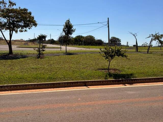 #47 - Área para Venda em Cesário Lange - SP