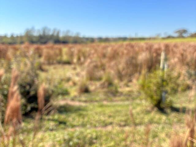 Venda em zona rural - Cesário Lange