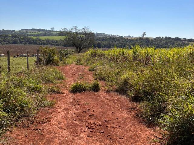 Chácara para Venda em Cesário Lange - 2